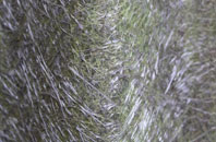 Welford On Avon fibreglass roof work